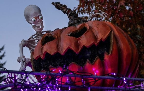 More Info for Haunted Wagon Rides at Peace, Love & Pumpkins