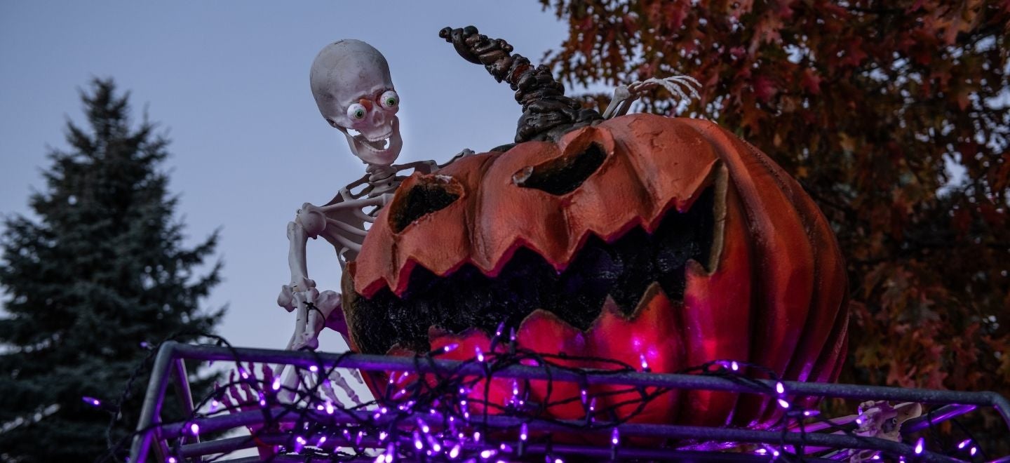 Haunted Wagon Rides at Peace, Love & Pumpkins