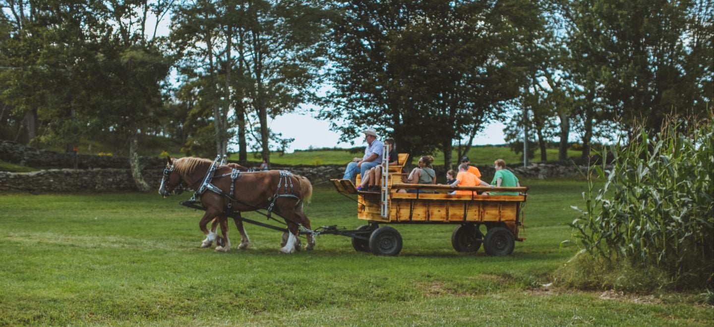 Hayride 