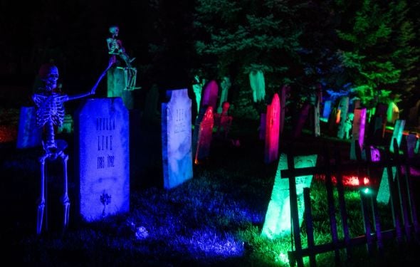 More Info for Murder Mystery Mixer: A Wedding in Transylvania (21+ only)