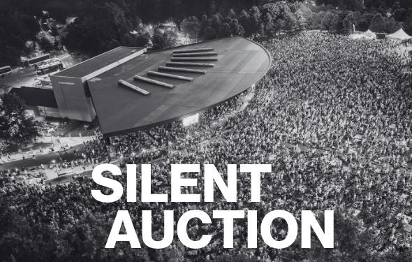 More Info for 2026 Silent Auction