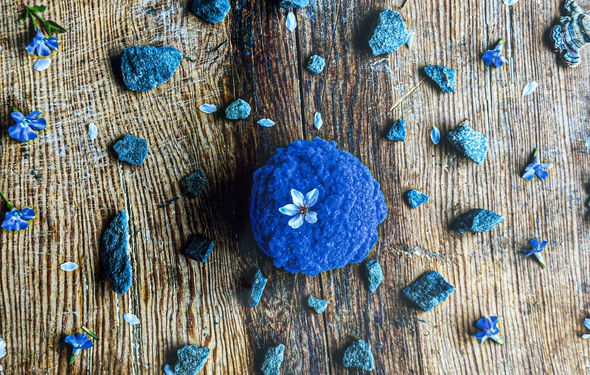 More Info for 10 Days of Giving: Day 1