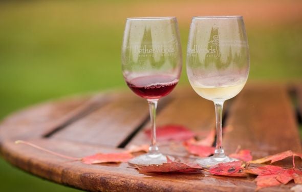More Info for Harvest Festival Wine Tasting 