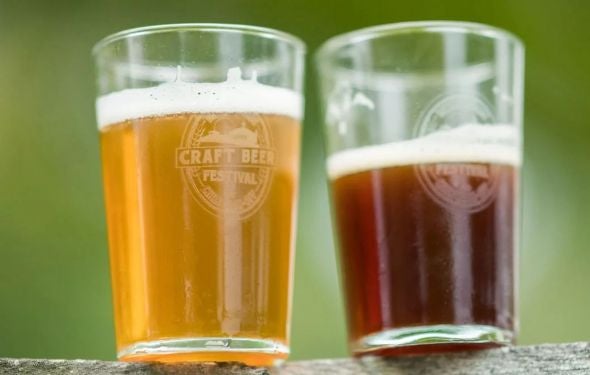 More Info for Harvest Fest: Oktoberfest