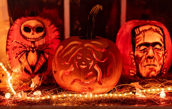 More Info for Halloween at Peace, Love & Pumpkins