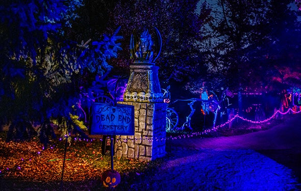 More Info for Murder Mystery Mixer: "Beetlejuice's Ghostly Ball"