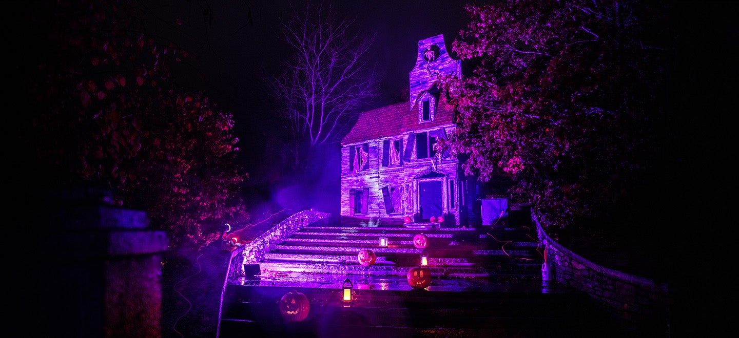 Murder Mystery Mixer: "Dying of Curiosity"
