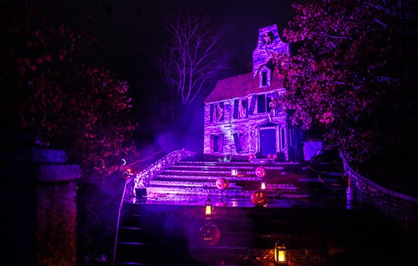 More Info for Murder Mystery Mixer: "Dying of Curiosity"