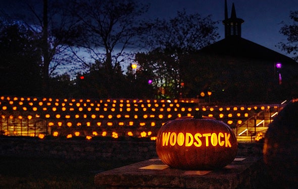 More Info for Peace, Love & Pumpkins