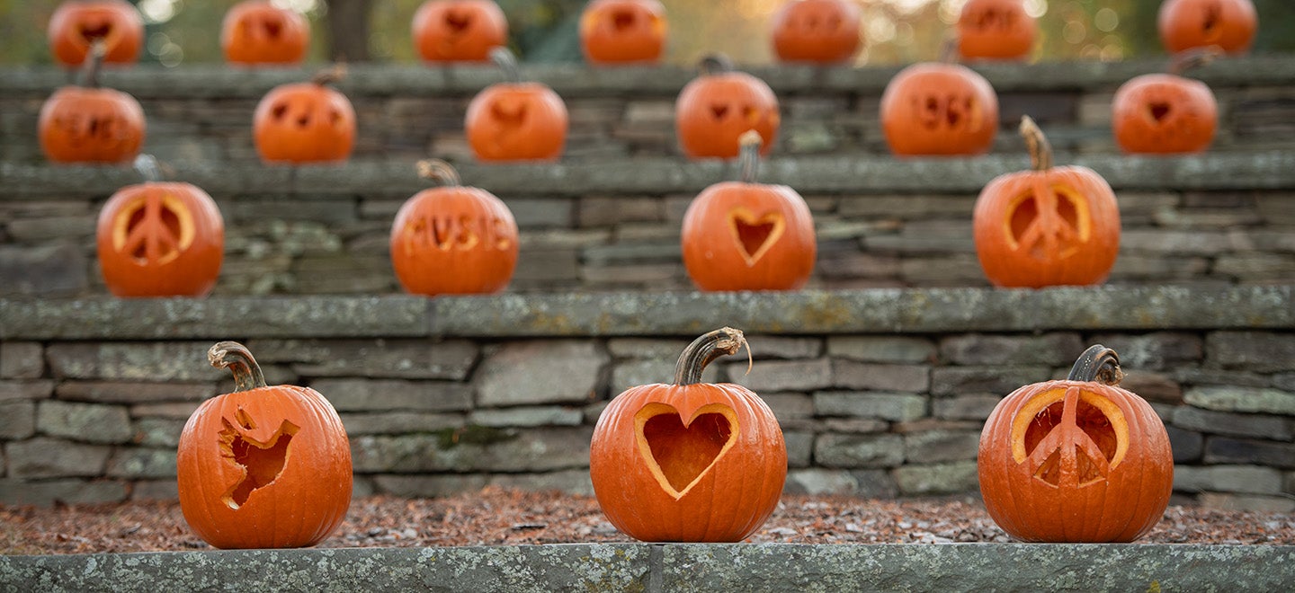 Sensory Friendly Experience at Peace, Love & Pumpkins