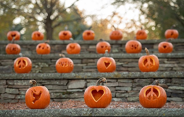 More Info for Sensory Friendly Experience at Peace, Love & Pumpkins