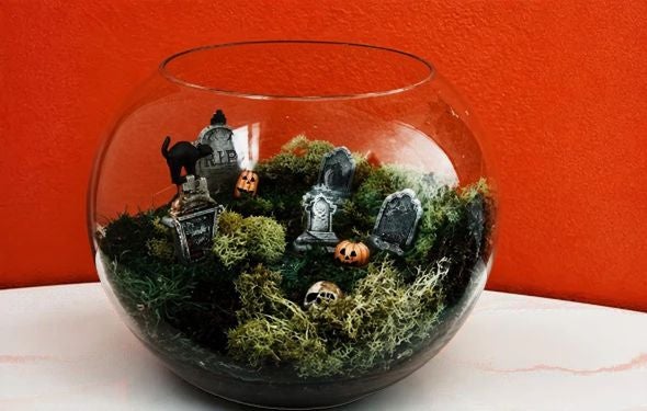 More Info for Spooky Sunday Crafting for Adults: Sip & Craft: Harvest Terrarium Workshop